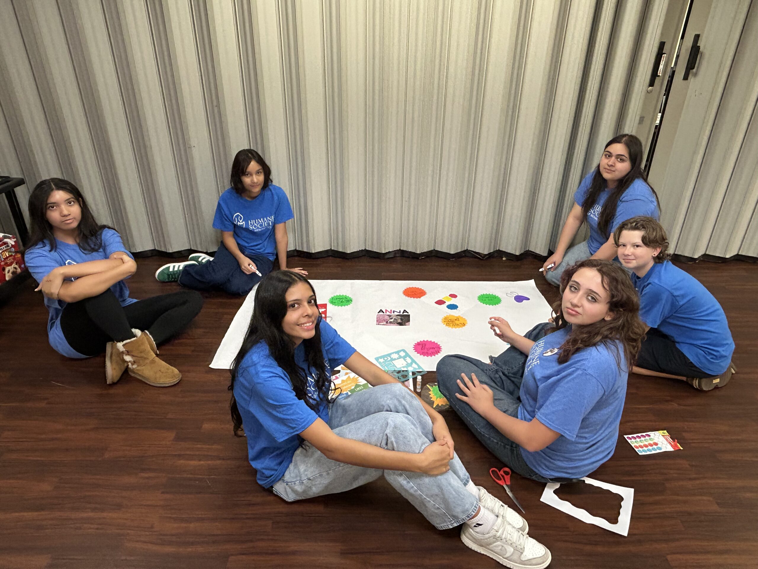 Projects for the animals