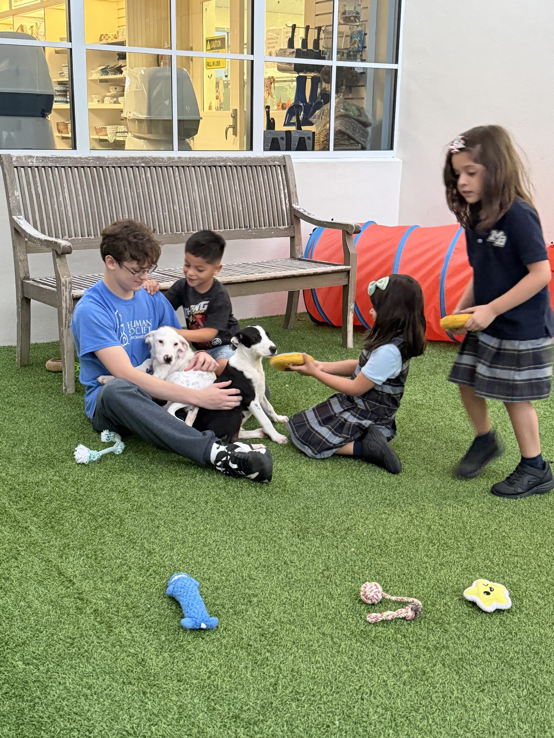 Volunteer Opportunities