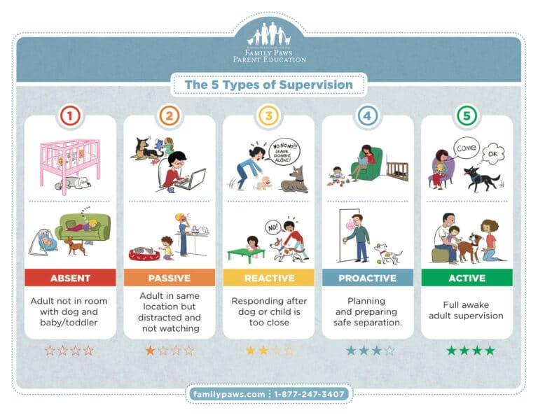 5 types of Supervision