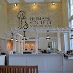 humane society lobby