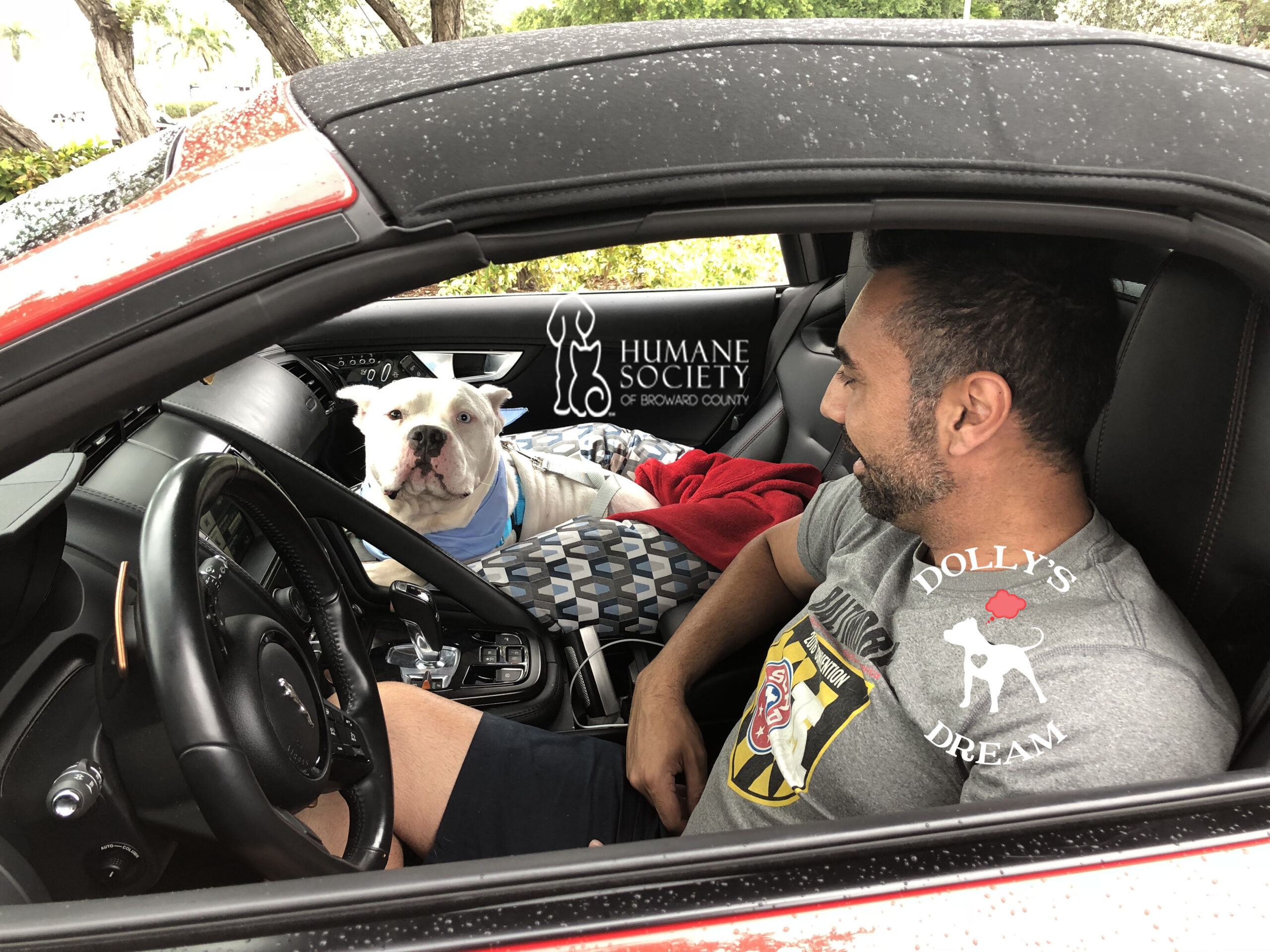 dog and owner in car