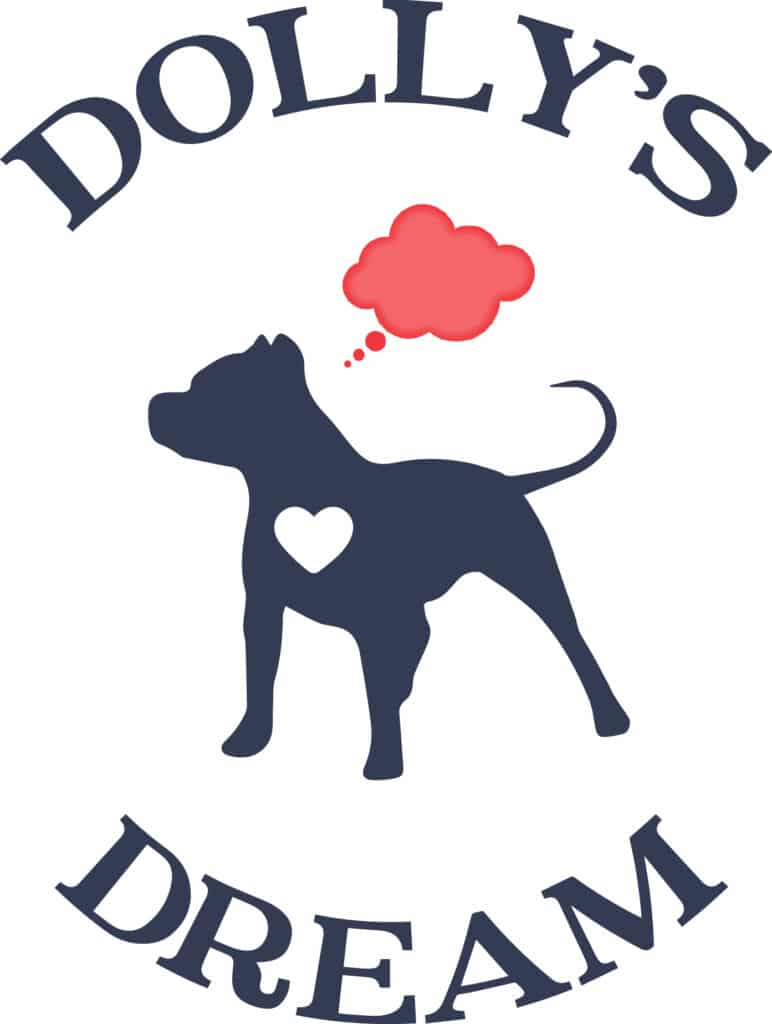 dolly dream logo