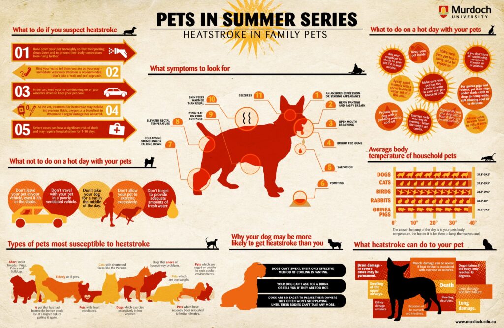 what are the signs of heat stroke in a dog