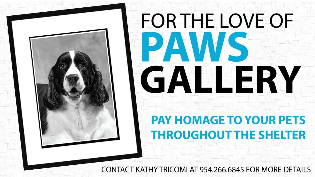 for the love of PAWS gallery flyer