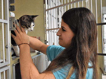 teen with kitten