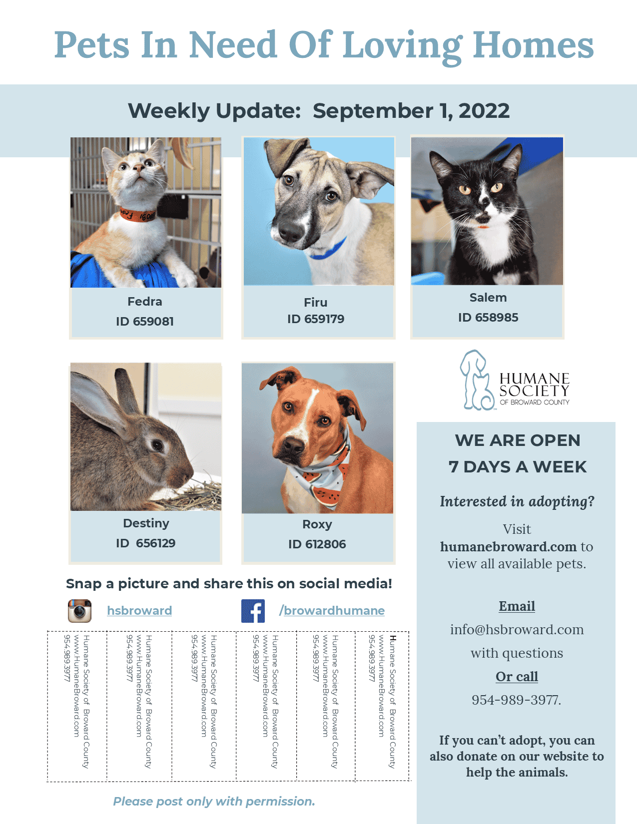 Weekly Pet Flyer: September 1, 2022 - Humane Society of Broward County