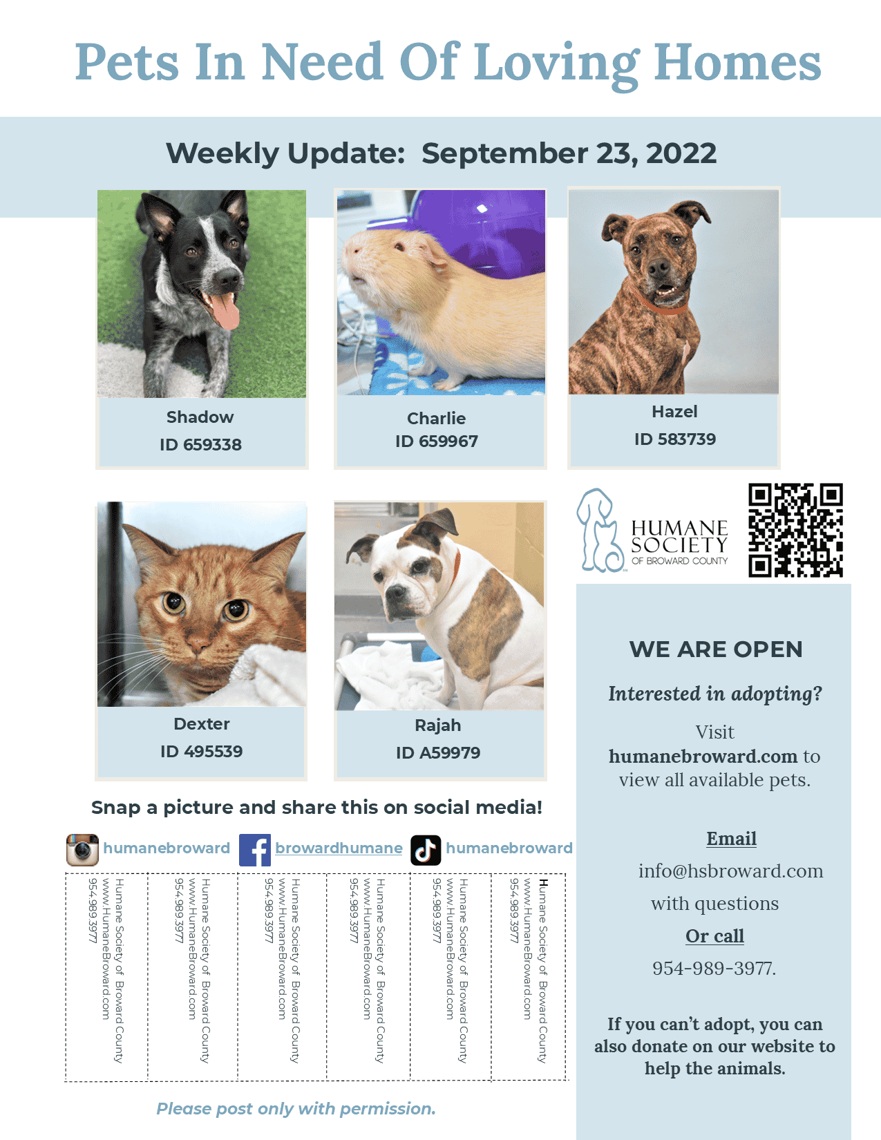 Weekly Pet Flyer: September 23, 2022 - Humane Society of Broward County