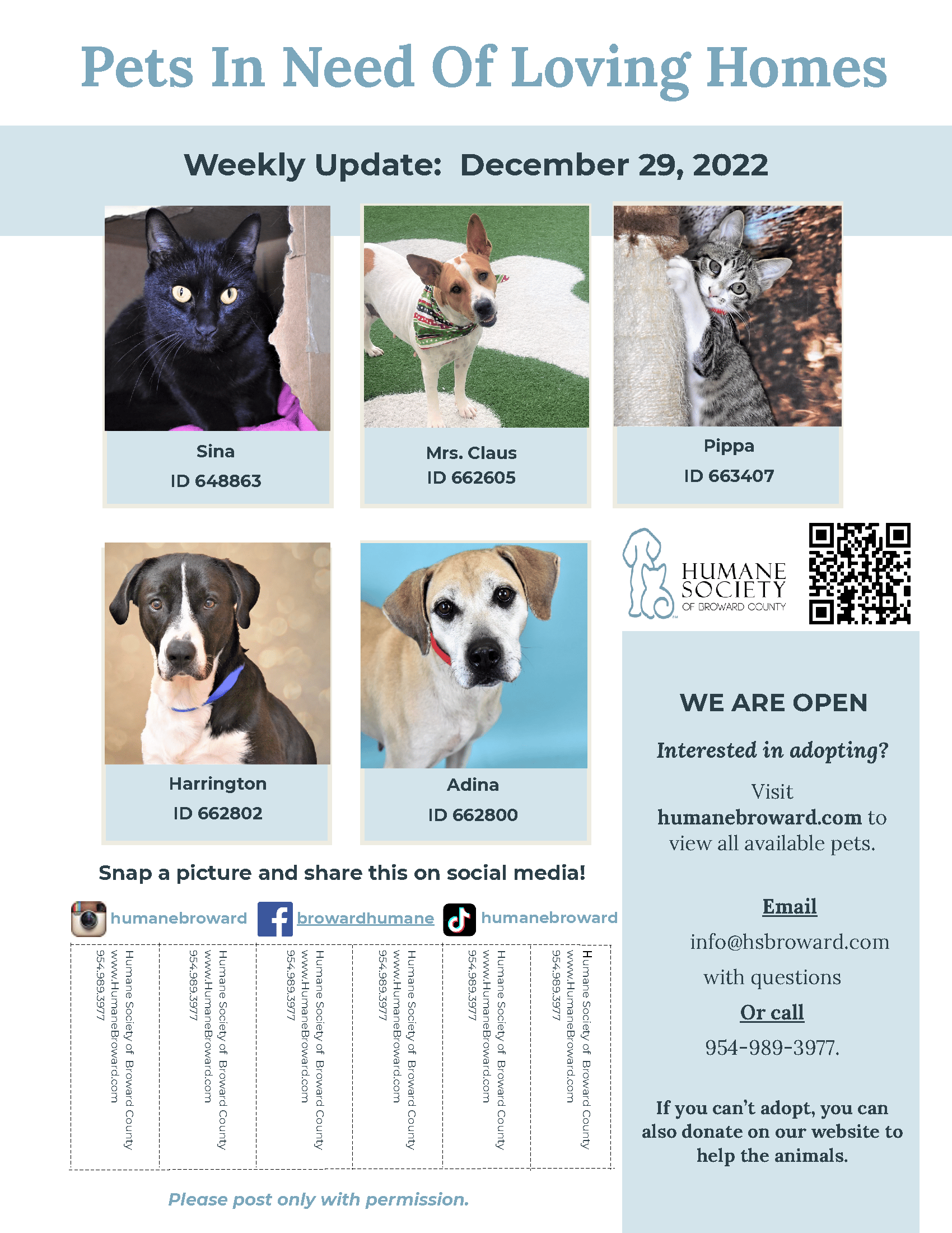Weekly Pet Flyer: December 29, 2022 - Humane Society of Broward County