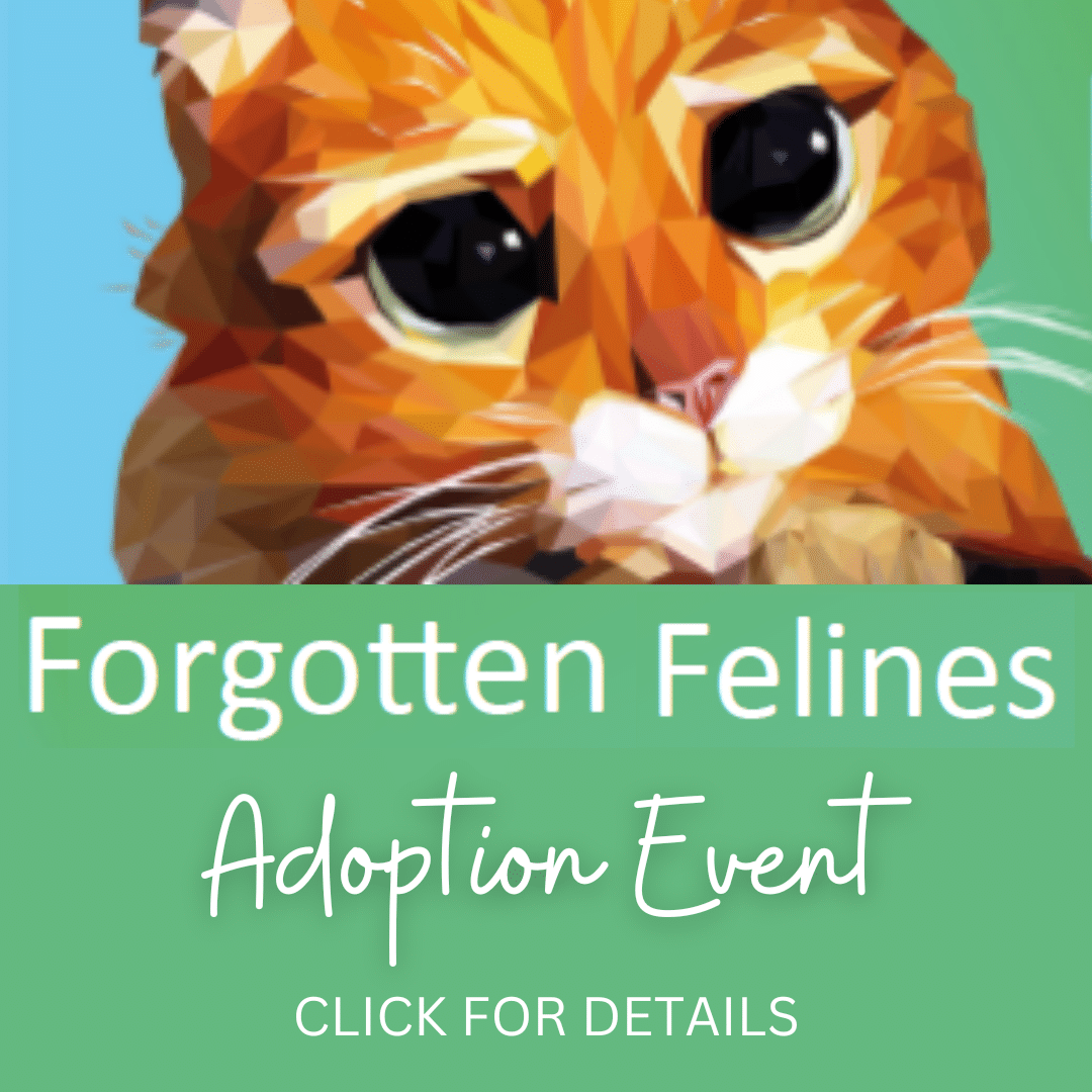 Hours and Location - Humane Society of Broward County