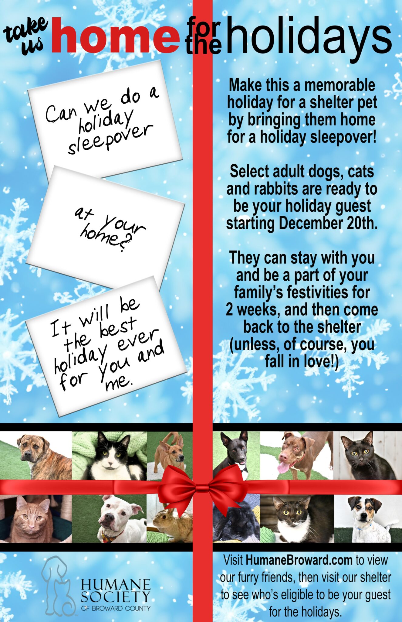 The Ultimate Pet Parent Guide Broward County Humane Society S A Z Of Spay And Neuter - j8xob50