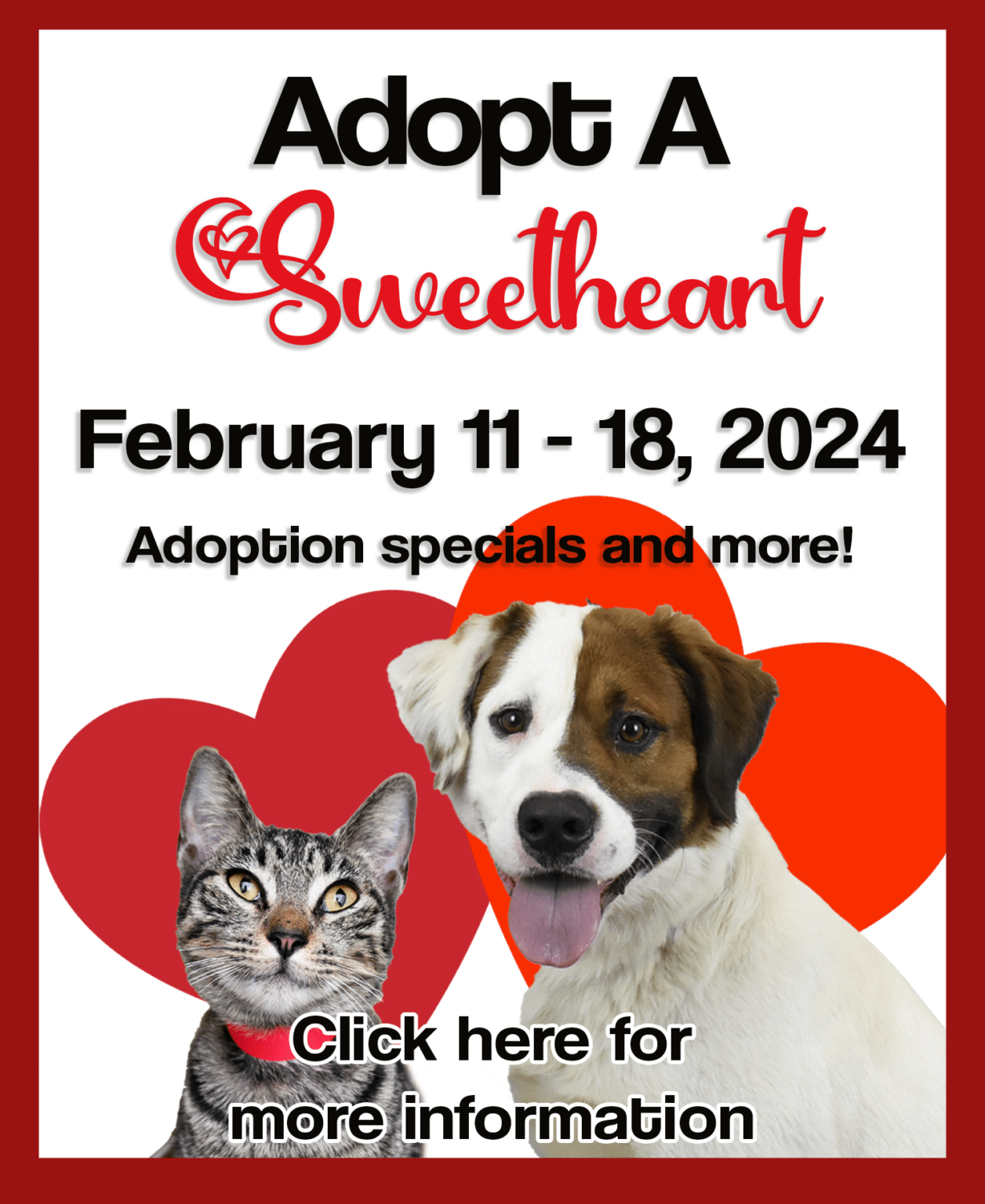 Hours and Location - Humane Society of Broward County