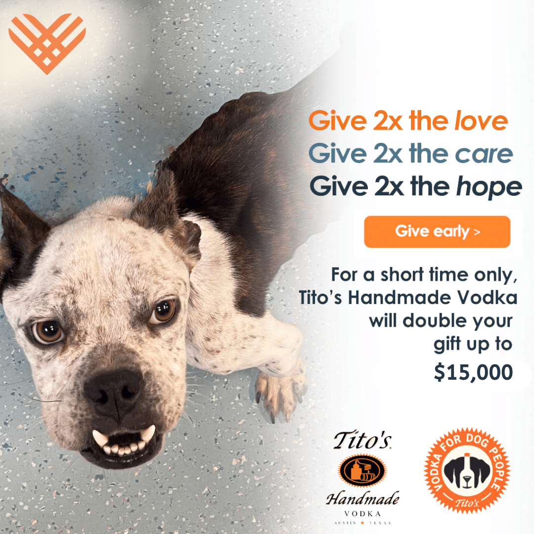 Home - Humane Society of Broward County