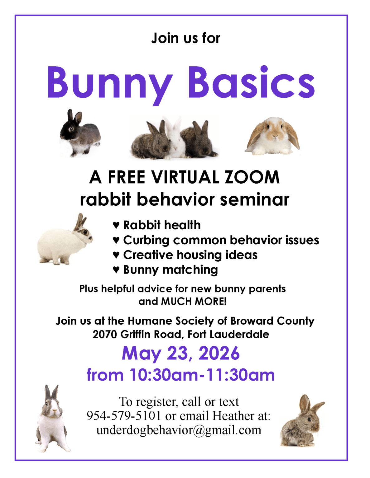 Bunny Basics Class - Online - Humane Society of Broward County
